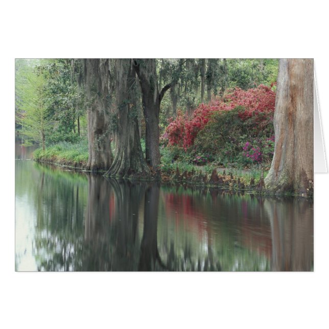 Cartão Carolina do Sul, Charleston (Frente Horizontal)