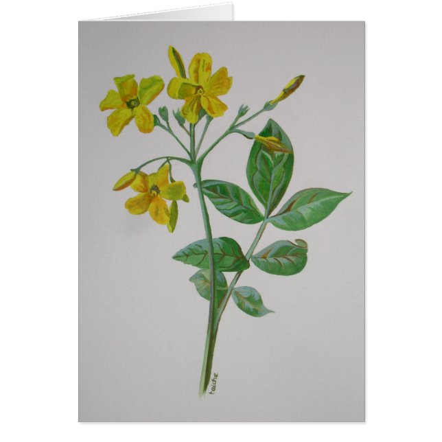 Cartão Carolina Jasmine Botanical Art (Frente)