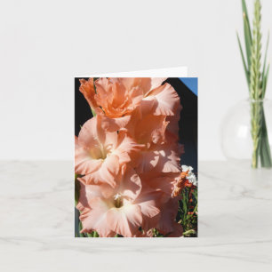 Cartão Carol's Gladiola Sympathy Card