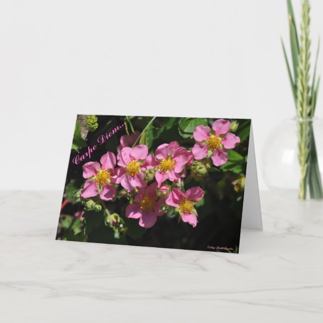 Cartão Carpe Diem… (Frente)