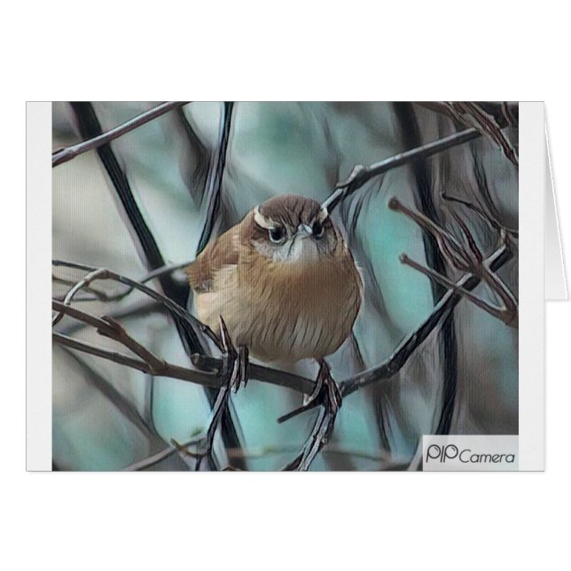 Cartão Carriça de casa (Frente Horizontal)