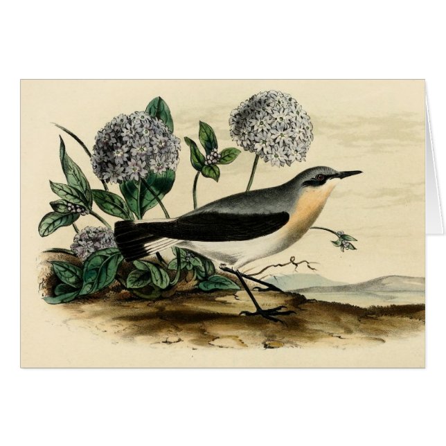 Cartão Carriça de Stonechat (Frente Horizontal)