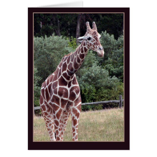 Cartão carrinho' (Frente)