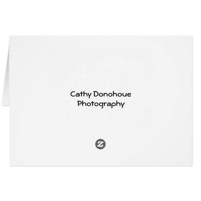 Cartão Carro e Bomba Antigos (Verso Horizontal)