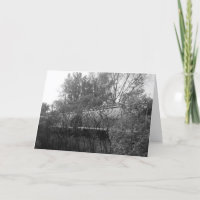 Carros De Caminho De Ferro Abandonados Obtêm Cartõ