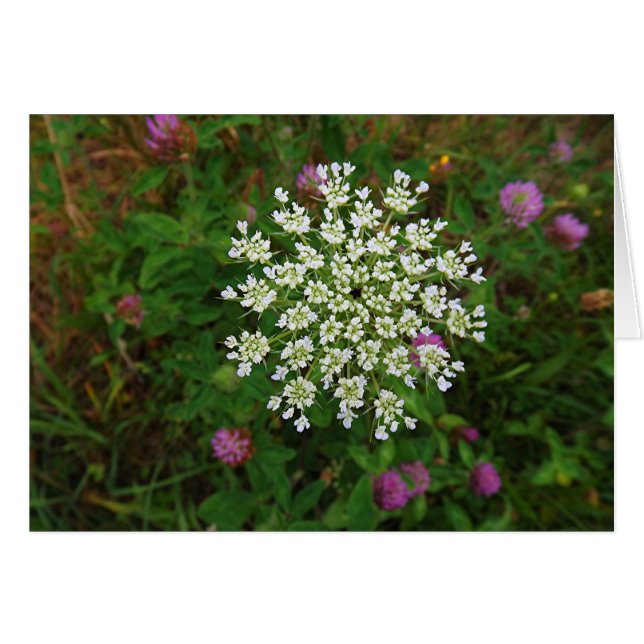 Cartão Carrot Blossom (Frente horizontal)