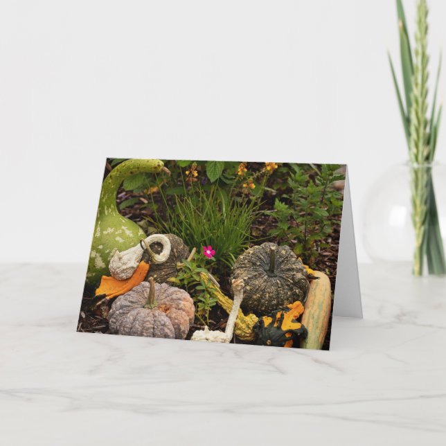 Cartão Carta de Arte Digital de Abóboras e Cabaças (Frente)