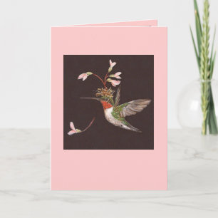 Cartão carta de beija-flor, Ozzie