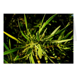 Cartão carta verde da natureza