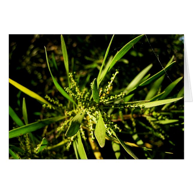 Cartão carta verde da natureza (Frente Horizontal)