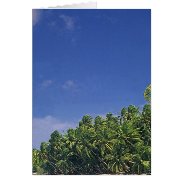 Cartão Cartão, a margem de Pukapuka. (Frente)