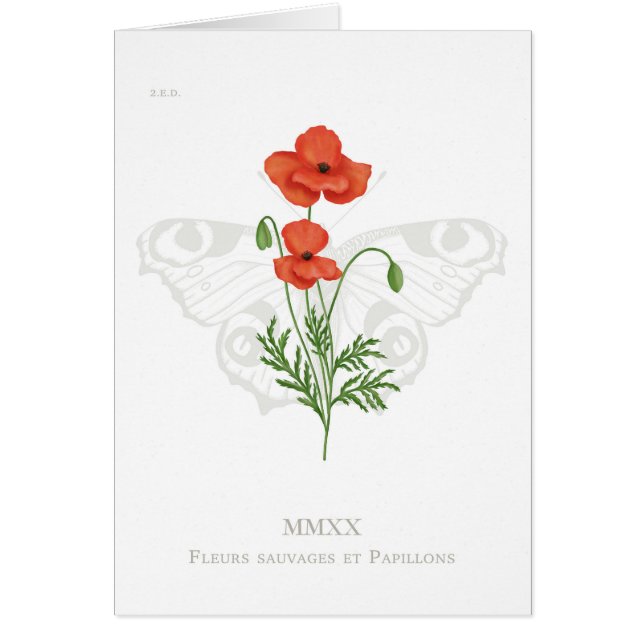 Cartão Cartão-borboleta-papoila e pavão (Frente)