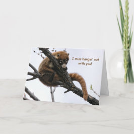 Cartão Cartão: Coatimundi #5