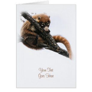 Cartão Cartão: Coatimundi #5 (Retrato)