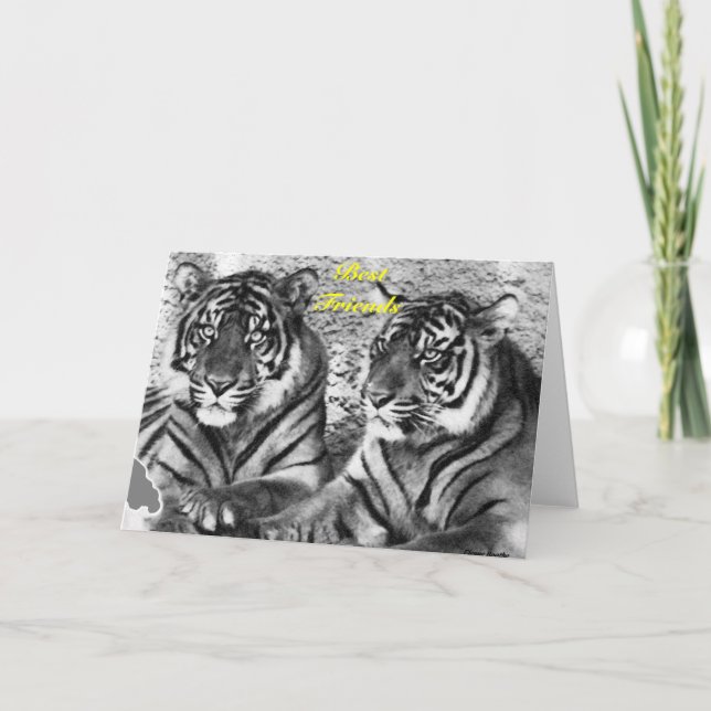 Cartão Cartão_de_Amizade (Frente)