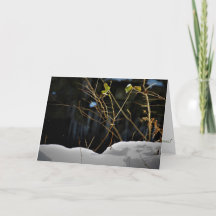 "Cartão de Natal "Minnesnowta Invisível""