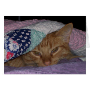 Cartão "Cartão diário do Snuggle vindo"