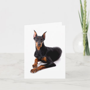 Cartão Cartão/Doberman Pinscher Filhote Cachorro Notecard