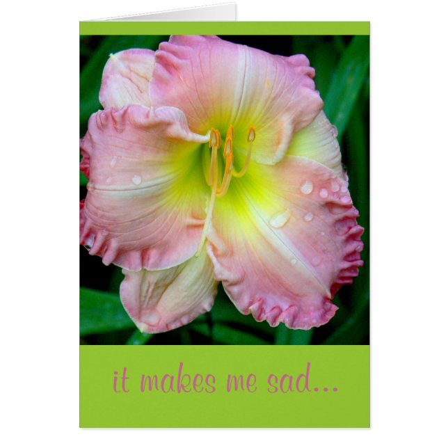 Cartão CARTÃO, "Isso me deixa triste", flor, (fotografia) (Frente)