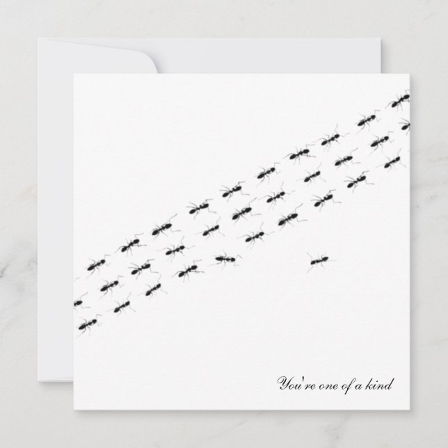 Cartão Cartão-postal Ants Independente (Frente)