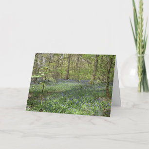 Cartão Cartão-postal Bluebell Wood Poynton Cheshire