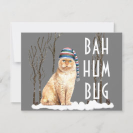 Cartão Cartão-postal de Natal de Gato Engraçado Bah Humbu