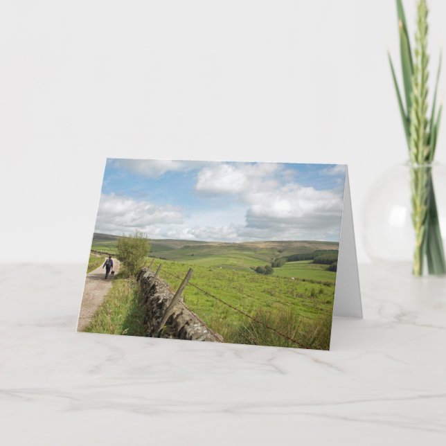 Cartão Cartão-postal de Tor e Gatos Brilhantes (Frente)