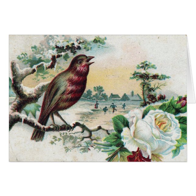 Cartão Cartão-postal para aves de 1908 (Frente Horizontal)