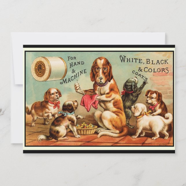 Cartão Cartão-postal para costurar cães (Frente)