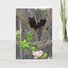 Cartão Cartão, Saudação - Gato em Ramais