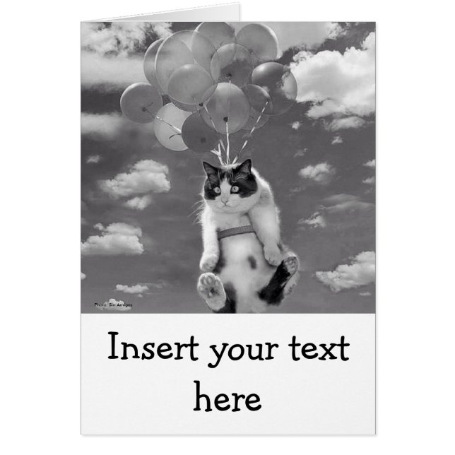 Cartão Cartão: Vôo engraçado do gato com balões (Frente)