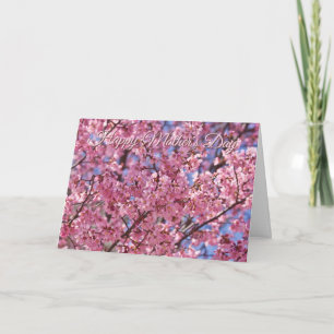 Cartão Cartaz do Céu Flor de Cerejeira Rosa Sakura