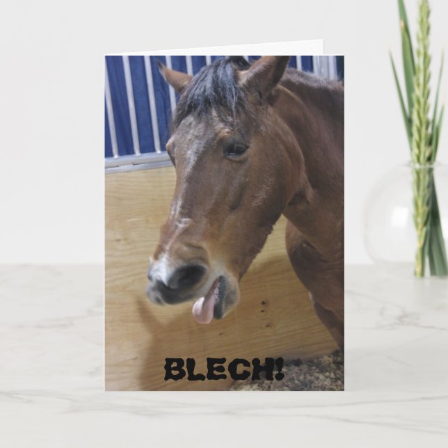 Cartão Carteira: Cavalo BLECH! (Frente)