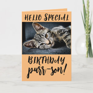 CARTÃO CARTEIRA CORTADA POR GATO KITTEN BIRTHDATING CARTÕ