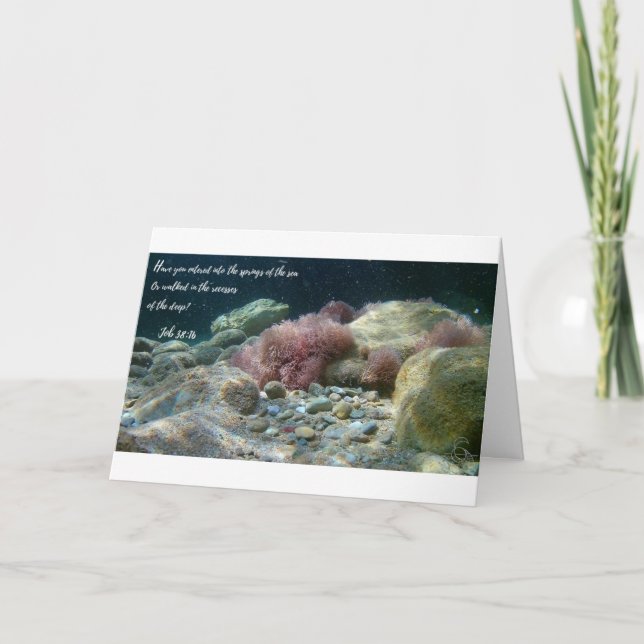 Cartão Carteira de águas antigas 38:16 (Frente)