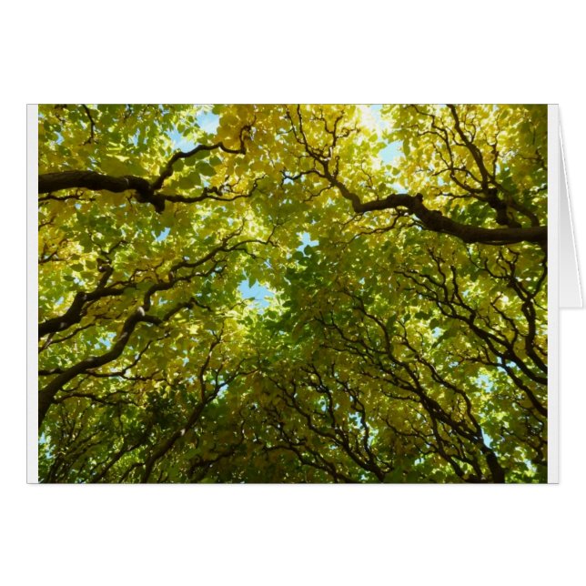 Cartão Carteira de árvores ouros adoráveis (Frente horizontal)