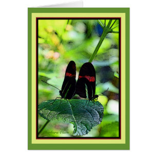 Cartão Carteiro vermelho: borboleta