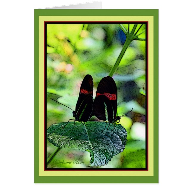 Cartão Carteiro Vermelho: borboleta (Frente)