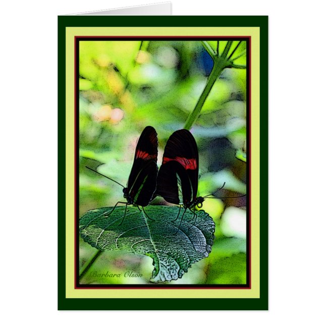 Cartão Carteiro Vermelho: borboleta (Frente)