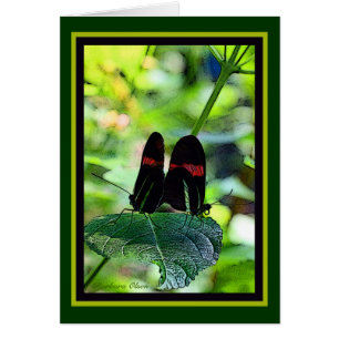 Cartão Carteiro vermelho: borboleta