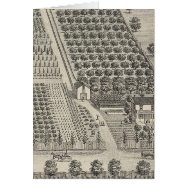 Cartão Cartões, Woodland (Frente)