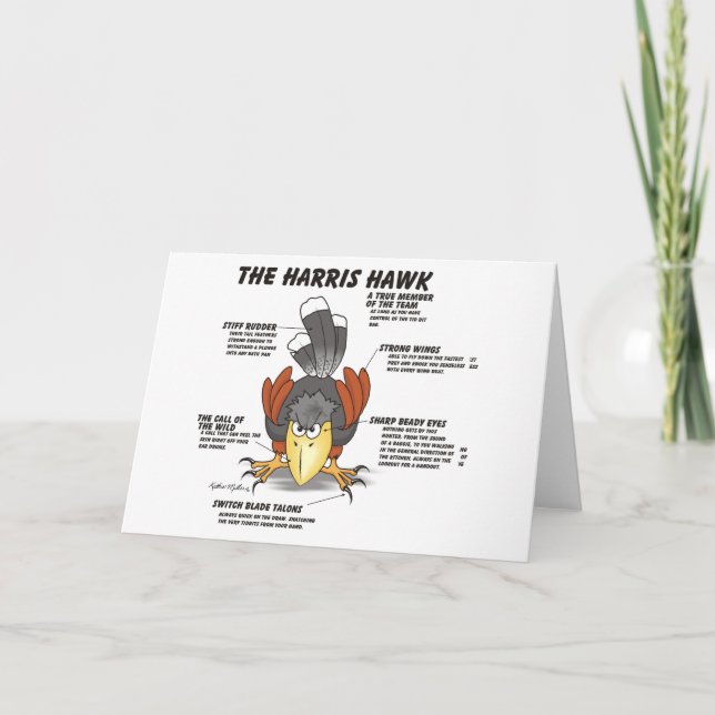 Cartão Cartoon Card Harris Hawk (Frente)