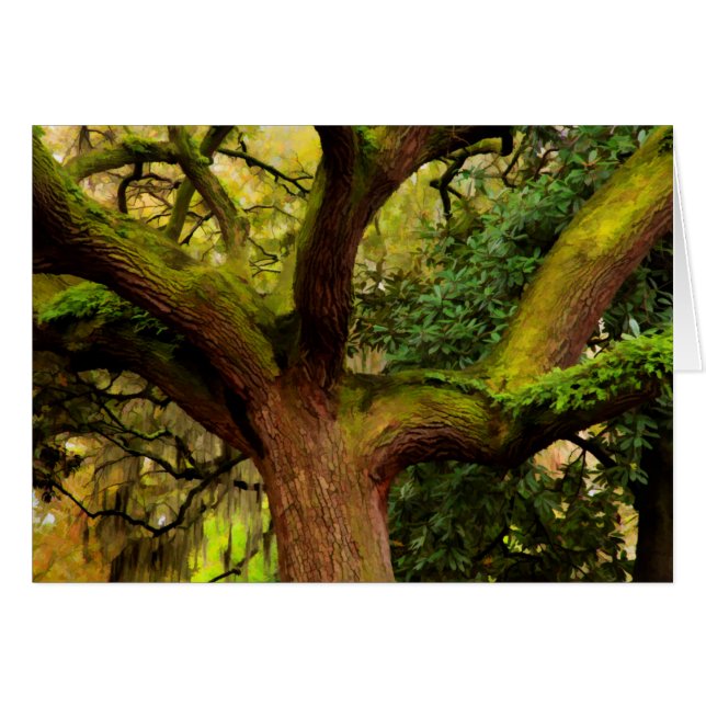 Cartão Carvalho (Frente Horizontal)