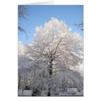 Cartão Carvalho nevado