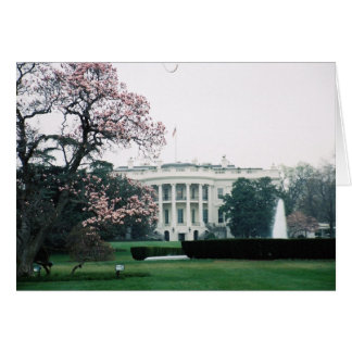 Cartão Casa Branca com Tcherry Blossoms