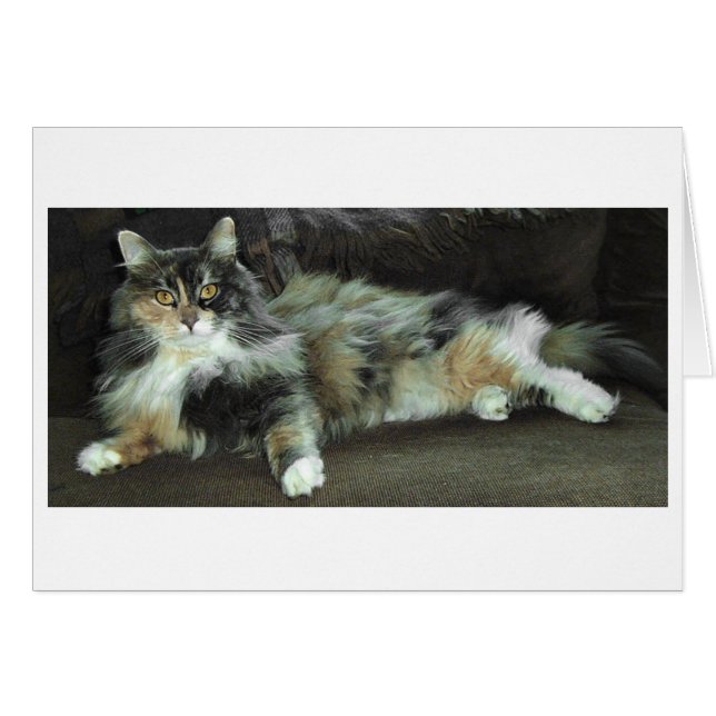 Cartão Casa da Caça, Esperando janto (Frente Horizontal)