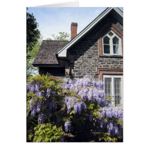Cartão Casa das glicínias