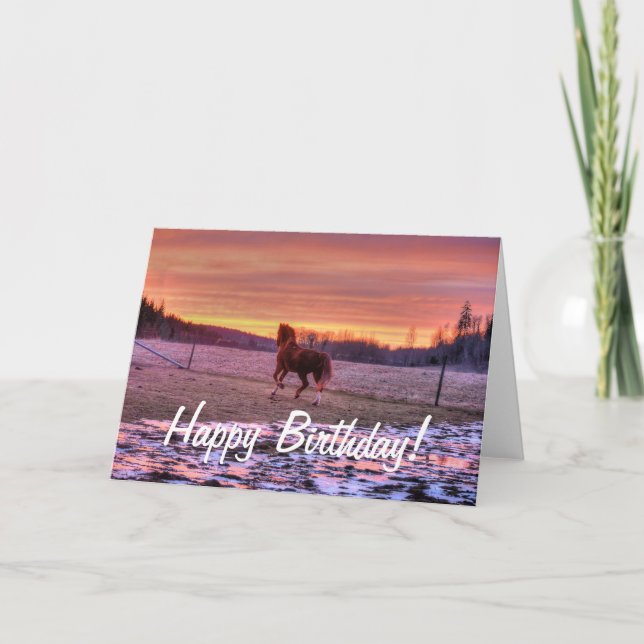Cartão Casa Running do garanhão no por do sol no rancho (Frente)