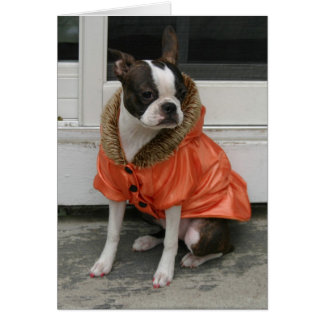 Cartão Casaco de inverno de Martha