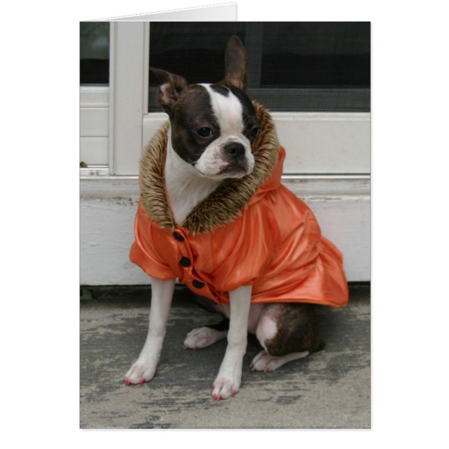 Cartão Casaco de inverno de Martha (Frente)